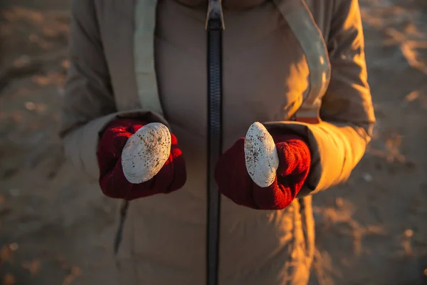 Positieve mooie vrouw met schelpen is het hebben van plezier aan de kust op een zonnige winterdag — Stockfoto