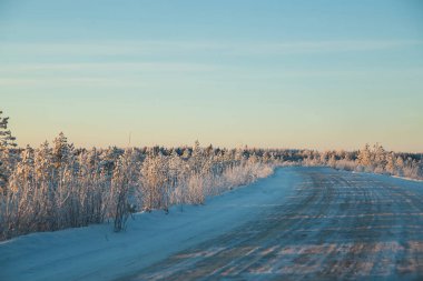 Arkhangelsk bölgesinde donmuş yol ve görkemli conifeur kış ormanı. Sert don, arabadan manzara..