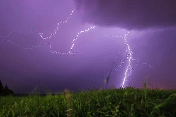 Gece gökyüzünde çimlerin üzerinde şimşekler çakıyor. Mor renk. Hava durumu konsepti değiştirir.
