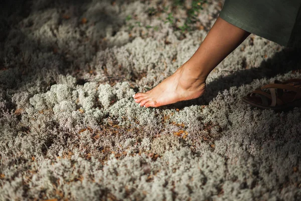 Kobieca stopa w leśnym mchu reniferów. Harmonia z koncepcją przyrody — Zdjęcie stockowe