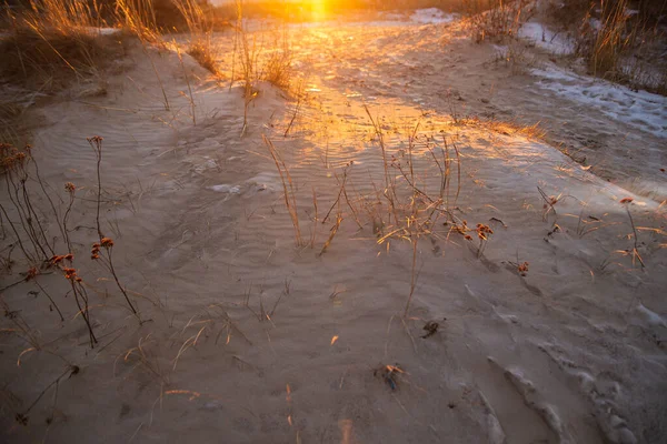 Sanddünen im Winter am Weißen Meer, Archangelsk — Stockfoto