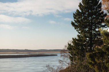 Solmuş yaprakları ve çimleriyle güzel bir sonbahar manzarası.