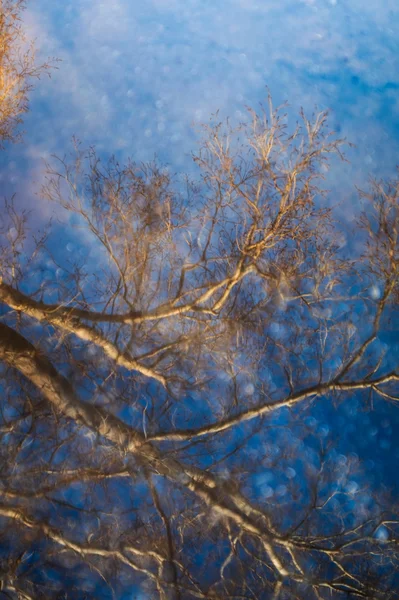 Reflexão nas águas — Fotografia de Stock