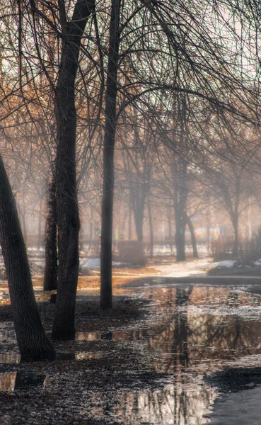 Büyük şehirde bahar. Stok Fotoğraf