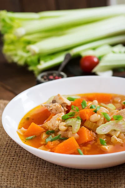 Zuppa di pollo al pomodoro con zucca — Foto Stock