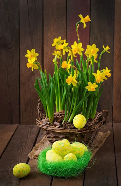 Huevos de Pascua y flores —  Fotos de Stock