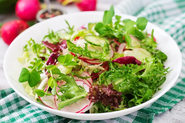 Saláta, uborka-, retek- és fűszernövények — Stock Fotó