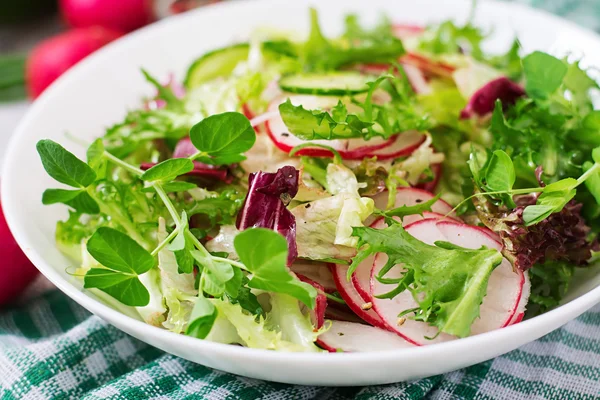 Sallad på gurka, rädisor och örter — Stockfoto