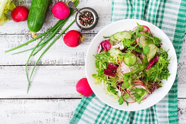 Salada de pepinos, rabanetes e ervas — Fotografia de Stock