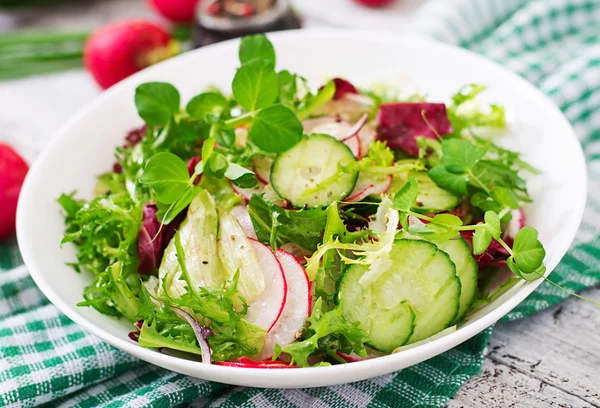 Saláta, uborka-, retek- és fűszernövények — Stock Fotó