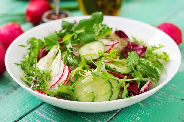 Salata, salatalık, turp ve otlar — Stok fotoğraf