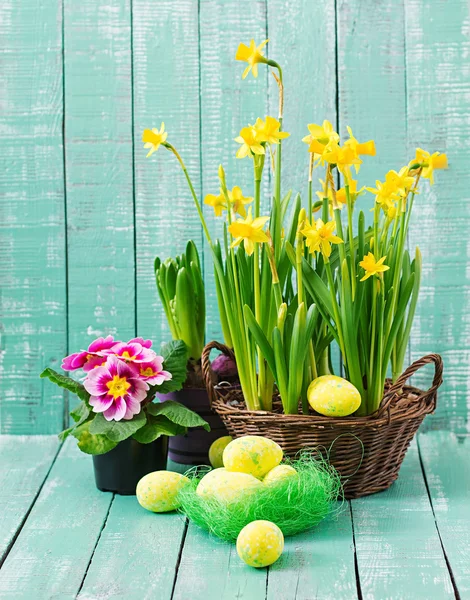 Huevos de Pascua y flores —  Fotos de Stock