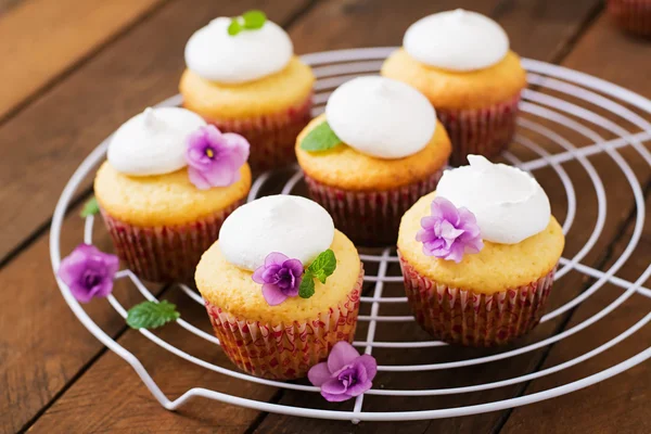 Cupcakes de queijo cottage com merengue — Fotografia de Stock