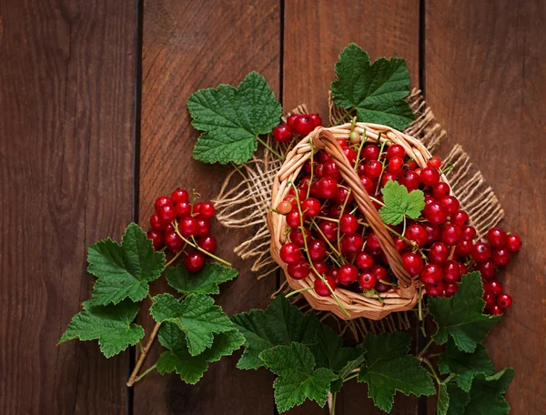 Korb mit reifen roten Johannisbeeren — Stockfoto