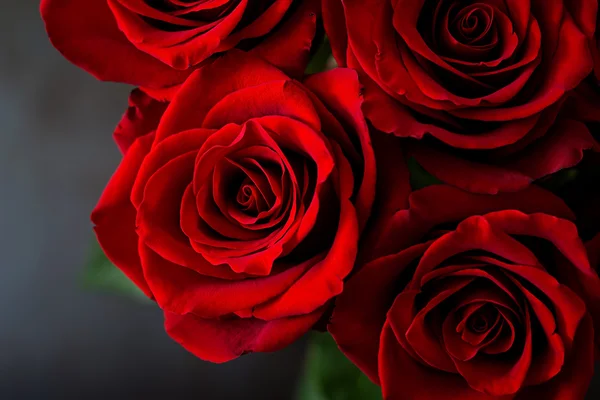 Ramo de hermosas rosas rojas — Foto de Stock