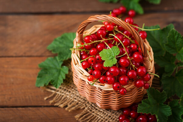 Basket with Ripe Red Currants