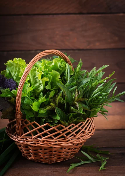 Variety of fresh organic herbs — Stock Photo, Image