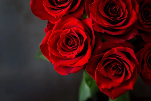 Ramo de hermosas rosas rojas — Foto de Stock