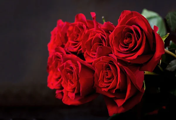 Bouquet di belle rose rosse — Foto Stock