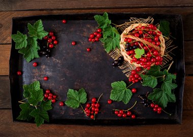 Kırmızı ve Siyah frenk üzümü sepetle