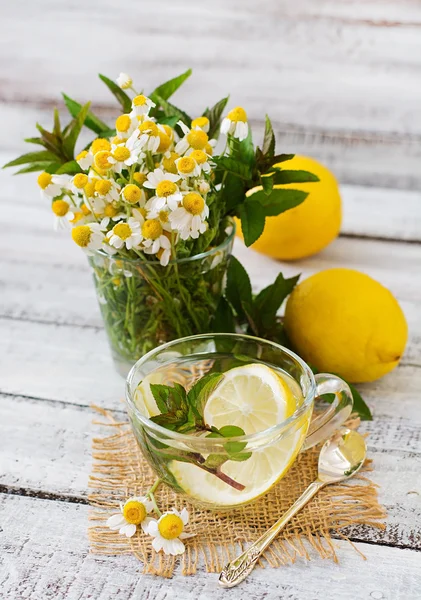 Kamomillte med citron och mynta — Stockfoto