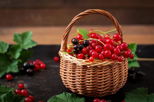 Cesta com groselha vermelha e preta — Fotografia de Stock