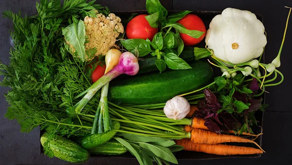 Verschiedene frische Gemüsesorten — Stockfoto