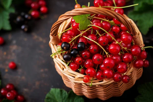 Basket with Red and Black currant — Stock Photo, Image