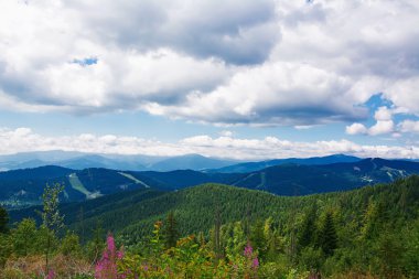 dağlarda yaz sabahı.
