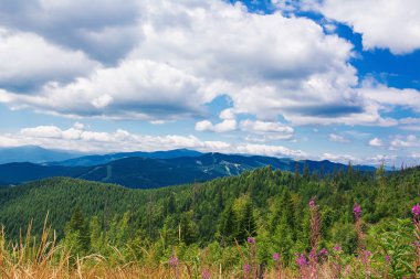 dağlarda yaz sabahı.