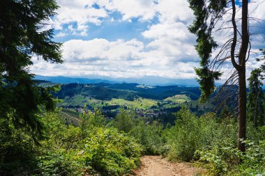 dağlarda yaz sabahı.