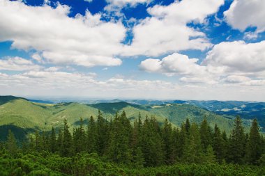 dağlarda yaz sabahı.