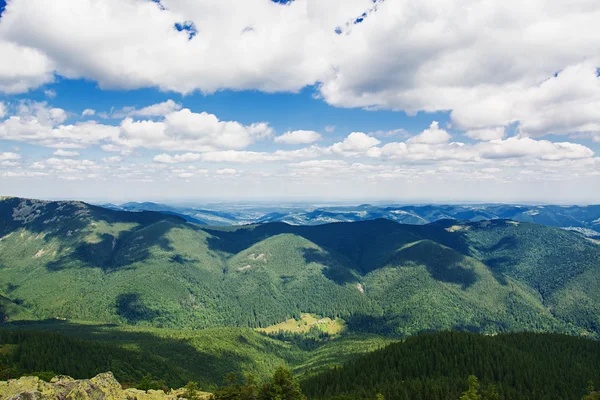 dağlarda yaz sabahı.