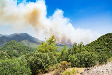 Türkiye 'de yangın çıktı. Kemer. Dağ sıraları