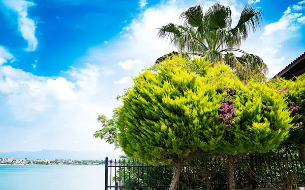 Akdeniz manzarası var. Türkiye 'nin Doğası.