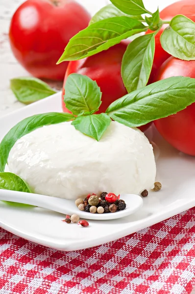 Mozzarella, tomates y hojas de albahaca fresca —  Fotos de Stock