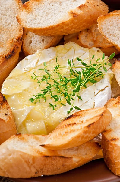 Baked Camembert cheese with thyme and toast rubbed with garlic — Stock Photo, Image