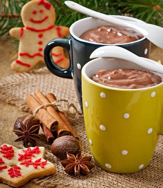 Hot chocolate and gingerbread — Stock Photo, Image