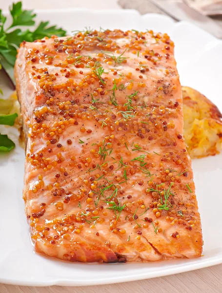 Baked salmon with  potato gratin — Stock Photo, Image