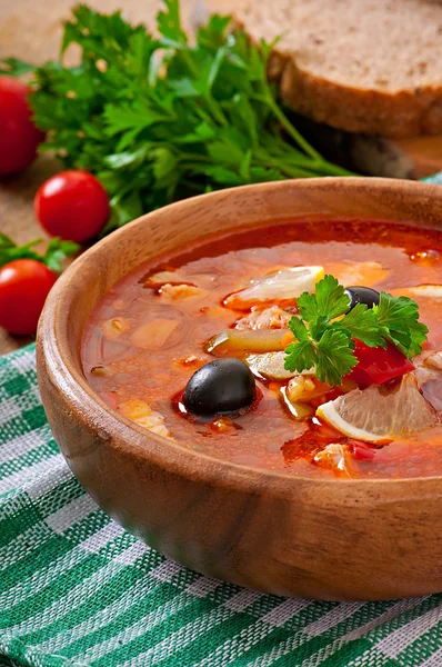Orosz leves solyanka — Stock Fotó