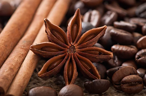 Anice, cannella e chicchi di caffè — Foto Stock