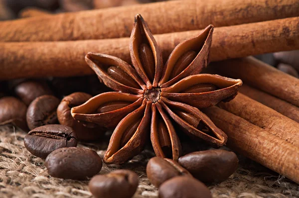 Anise, canela y granos de café —  Fotos de Stock