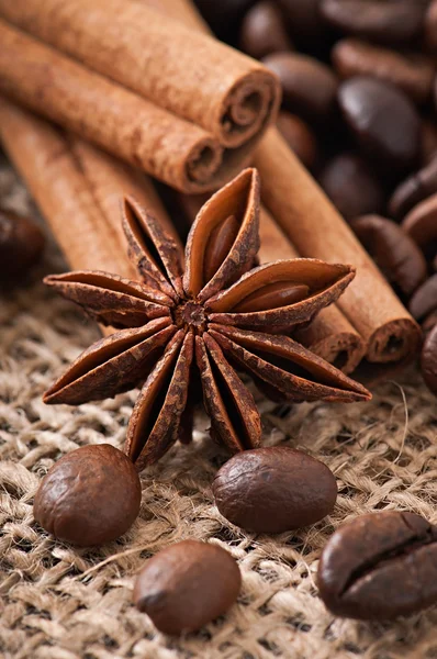 茴香、 肉桂粉和咖啡的咖啡豆 — 图库照片