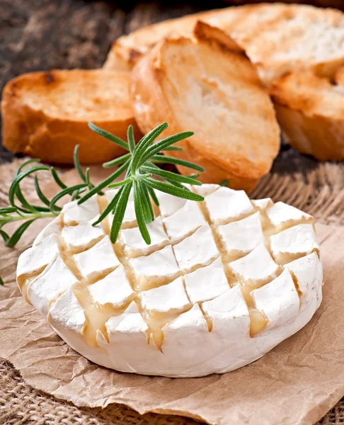 Käse mit Rosmarin und Toast — Stockfoto