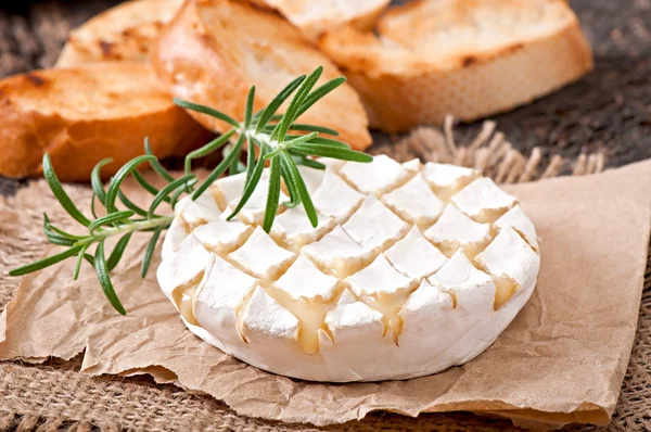 Cheese with rosemary and toasts — Stock Photo, Image