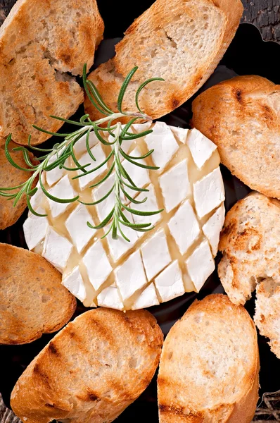Käse mit Rosmarin und Toast — Stockfoto