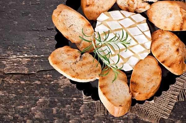 Cheese with rosemary and toasts — Stock Photo, Image