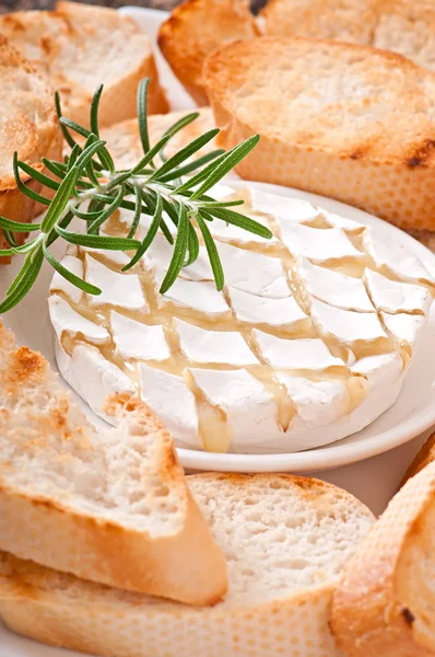 Сир з розмарином і тостами — стокове фото