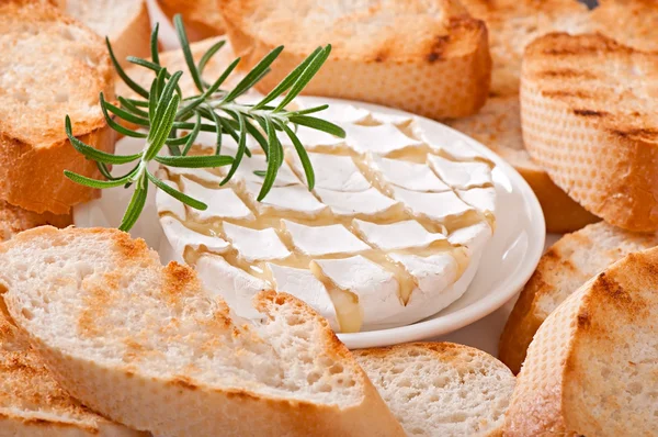 Brânză cu rozmarin și pâine prăjită — Fotografie, imagine de stoc