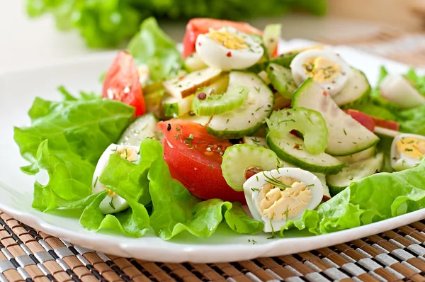 Zomer salade met sla — Stockfoto